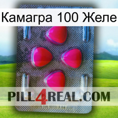 Камагра 100 Желе 13